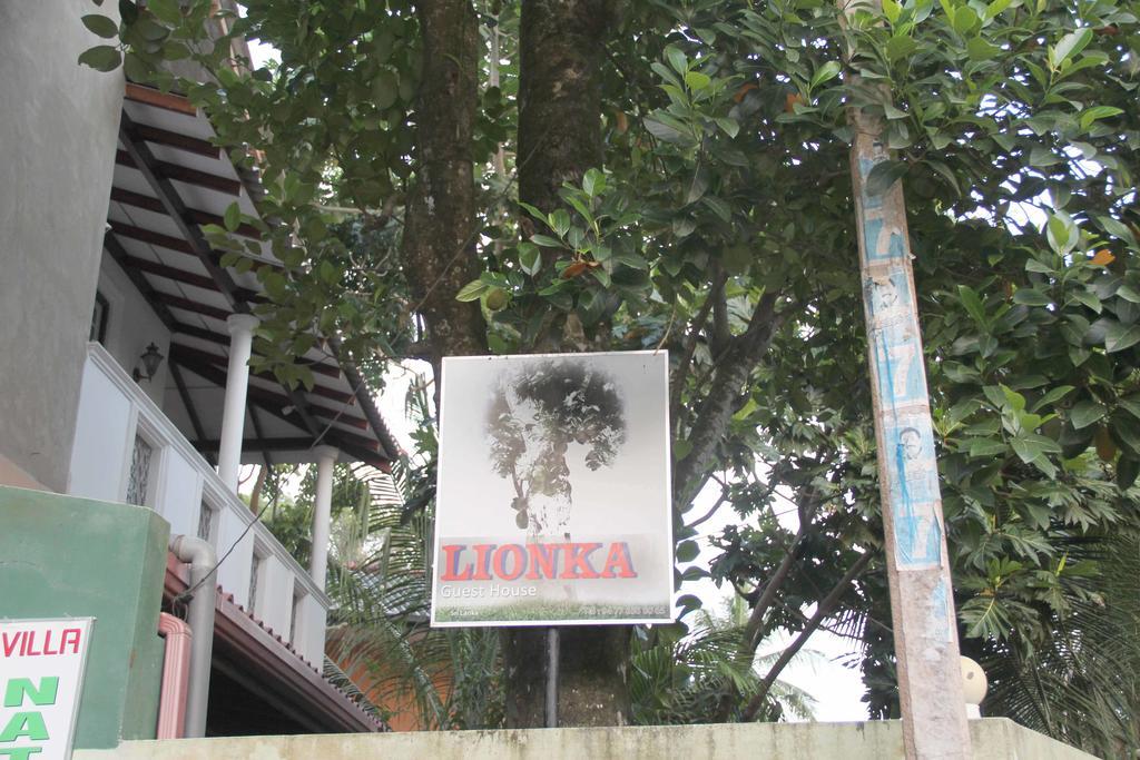 Lionka Guesthouse Mirissa Exteriér fotografie