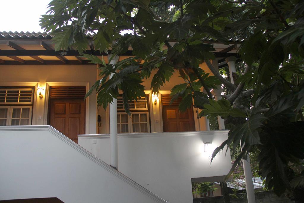 Lionka Guesthouse Mirissa Exteriér fotografie